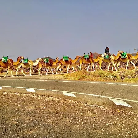Tia Ela * Yaiza (Lanzarote)